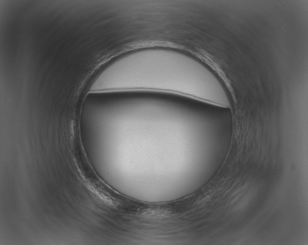 X0000084540063200702230919