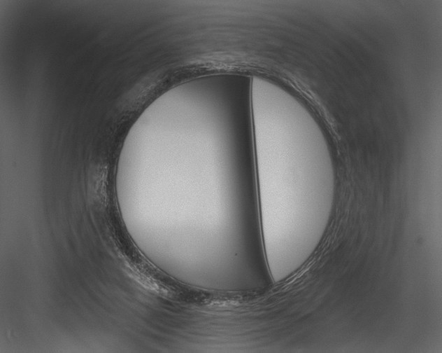 X0000084540066200702230919