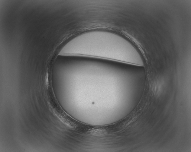 X0000084540067200702230919