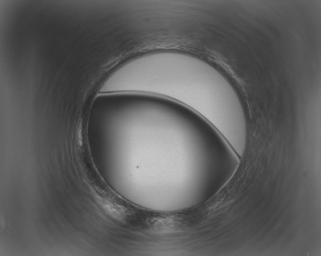 X0000084540068200702230919