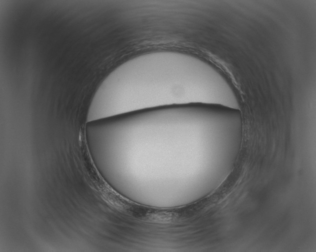 X0000084540069200702230919