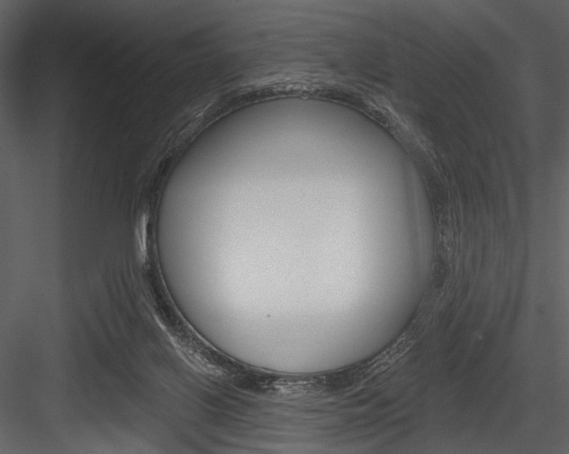 X0000084540070200702230919
