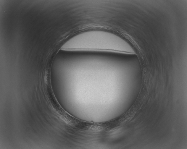 X0000084540071200702230919