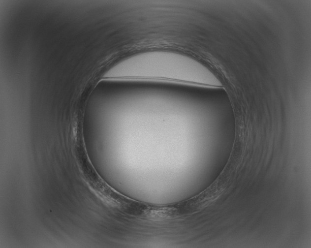 X0000084540072200702230919