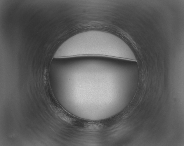 X0000084540073200702230919