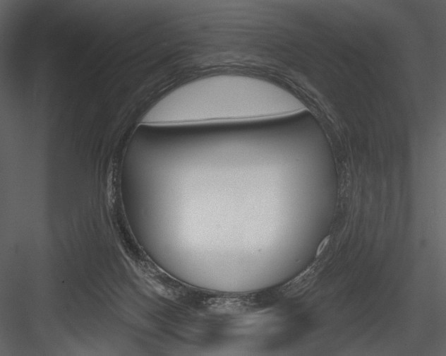 X0000084540074200702230919