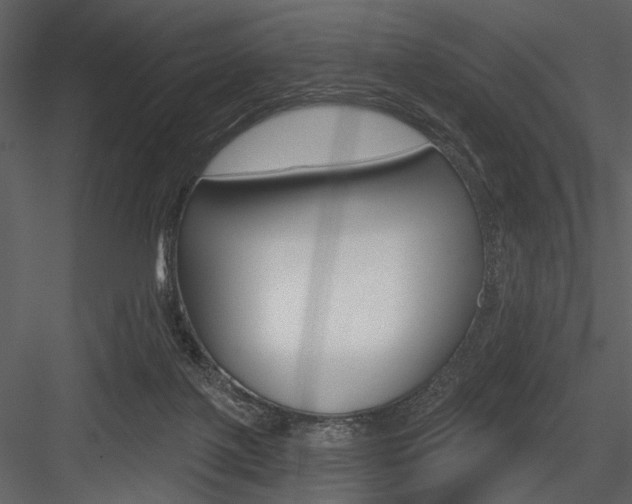 X0000084540075200702230919