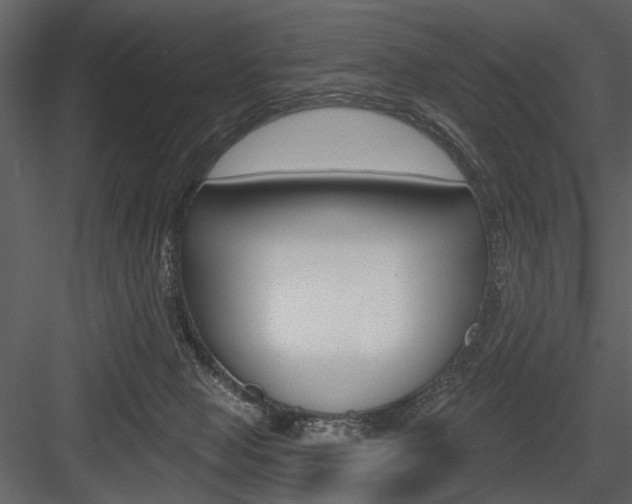 X0000084540077200702230919