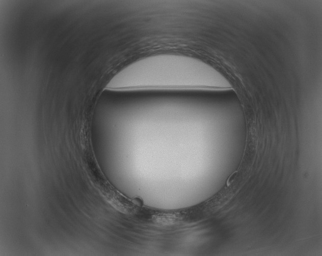 X0000084540079200702230920