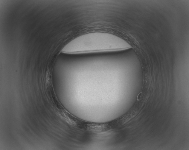 X0000084540081200702230920