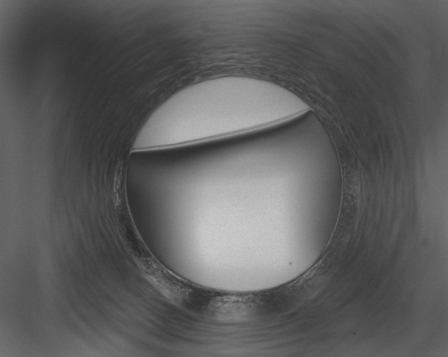 X0000084540082200702230920