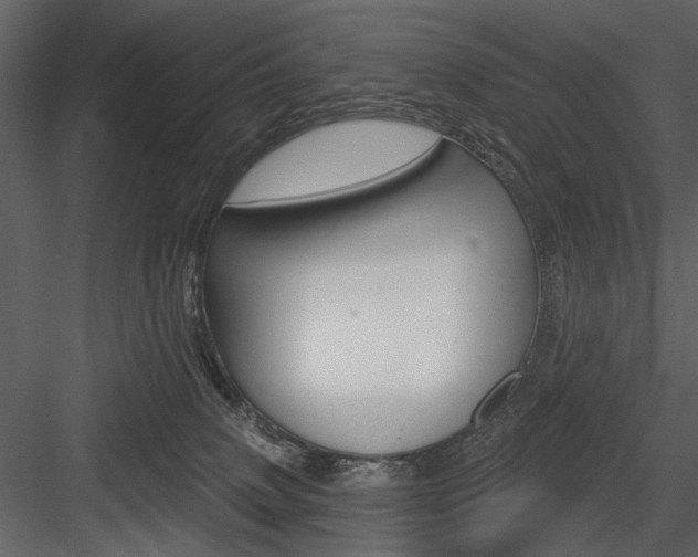 X0000084540083200702230920