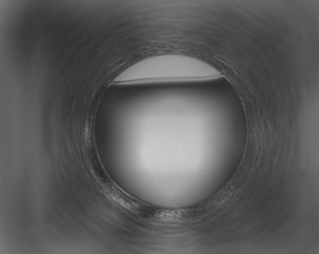 X0000084540084200702230920
