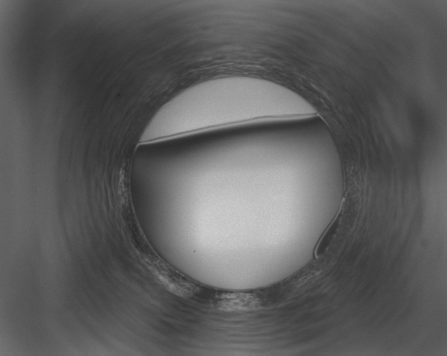 X0000084540087200702230920