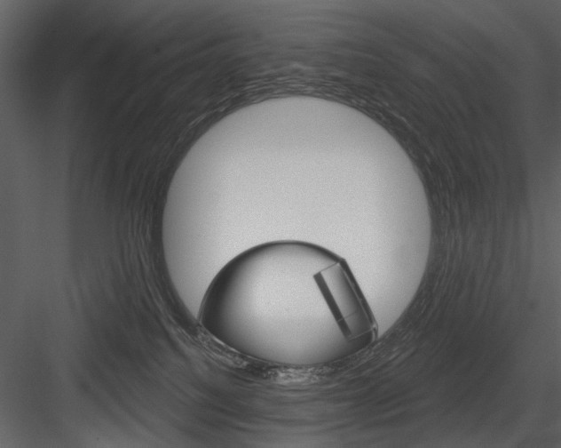 X0000084540088200702230920