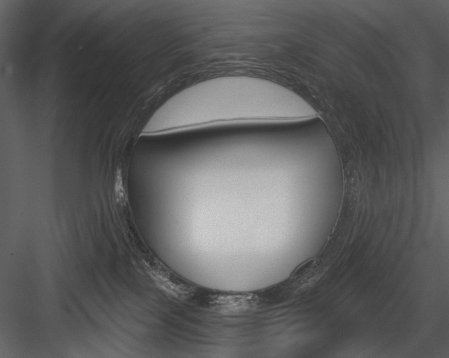 X0000084540089200702230920
