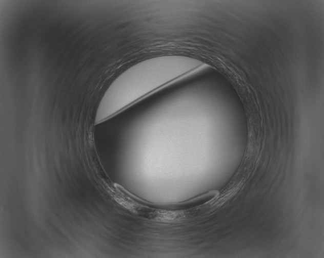 X0000084540096200702230920