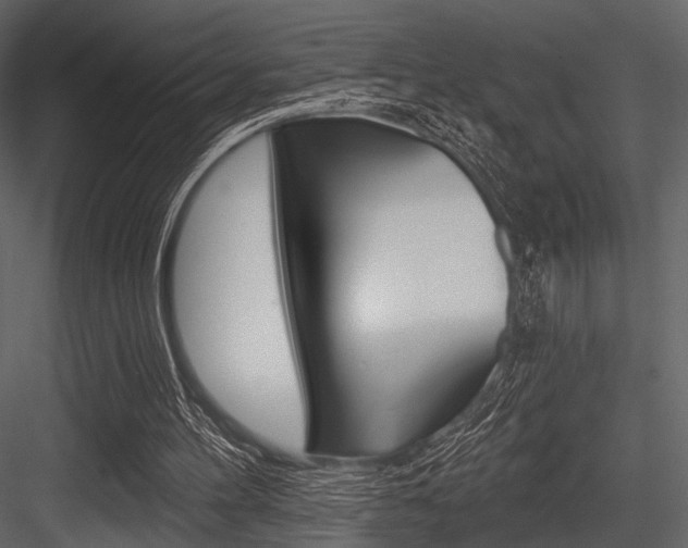 X0000084540100200702230919