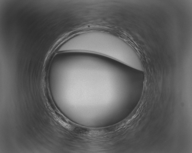 X0000084540101200702230919
