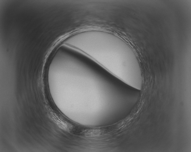 X0000084540104200702230919