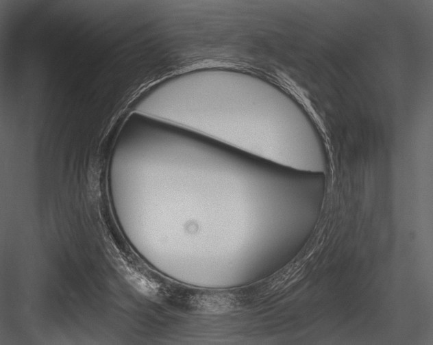 X0000084540106200702230919