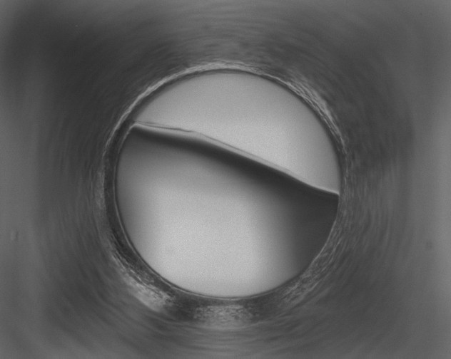 X0000084540108200702230919
