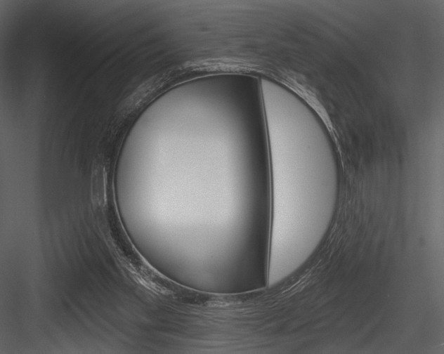 X0000084540109200702230919
