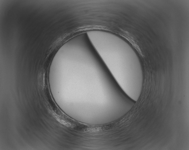 X0000084540110200702230919