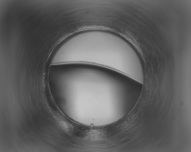 X0000084540111200702230919