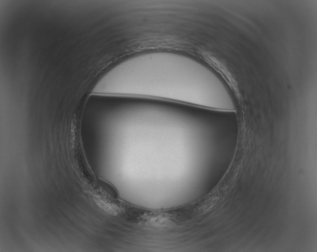 X0000084540113200702230919