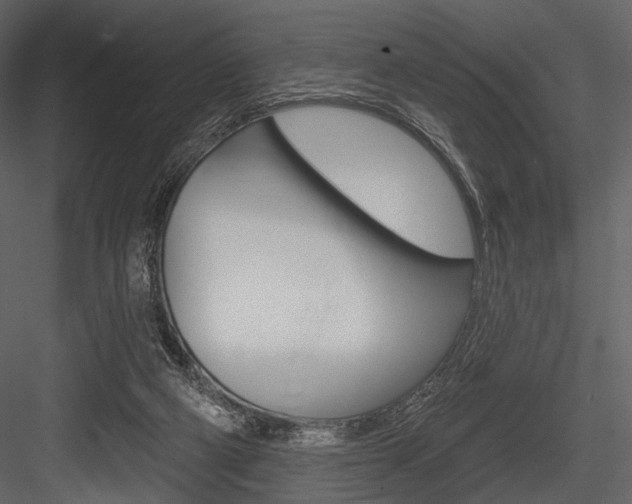 X0000084540114200702230919