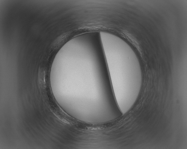 X0000084540115200702230919