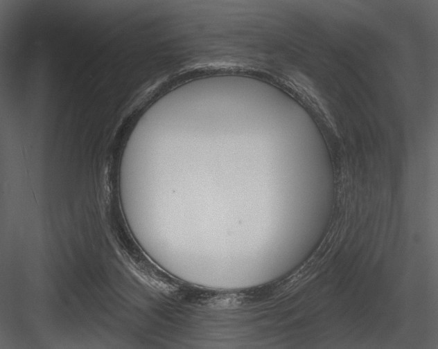 X0000084540116200702230919