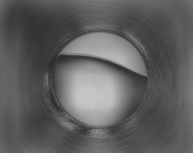 X0000084540117200702230919