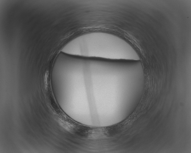 X0000084540118200702230919