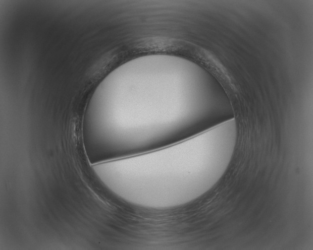 X0000084540119200702230919