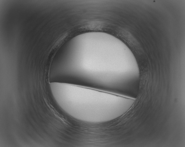 X0000084540120200702230919