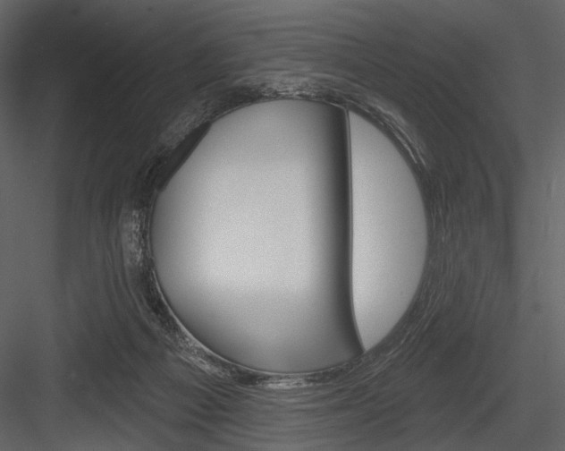 X0000084540121200702230919