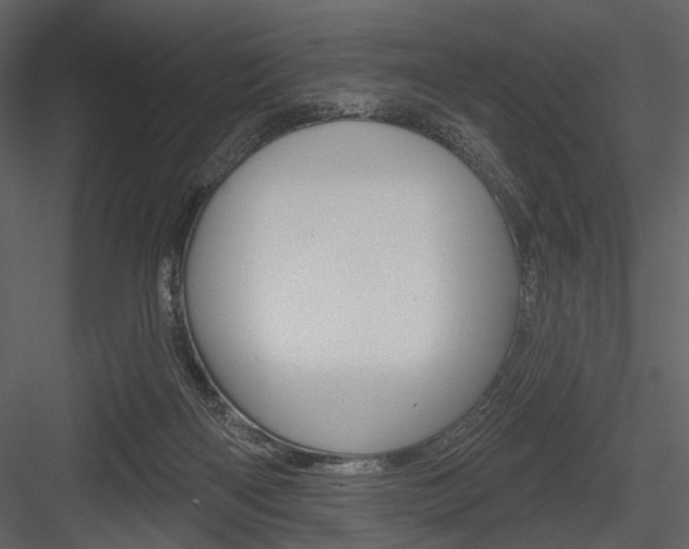 X0000084540122200702230919