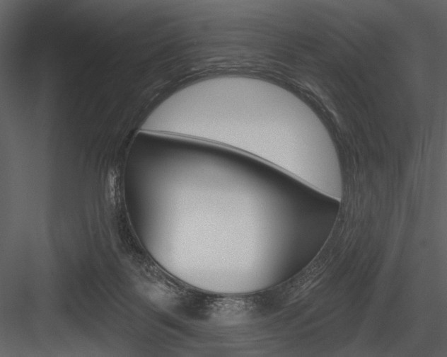 X0000084540123200702230919