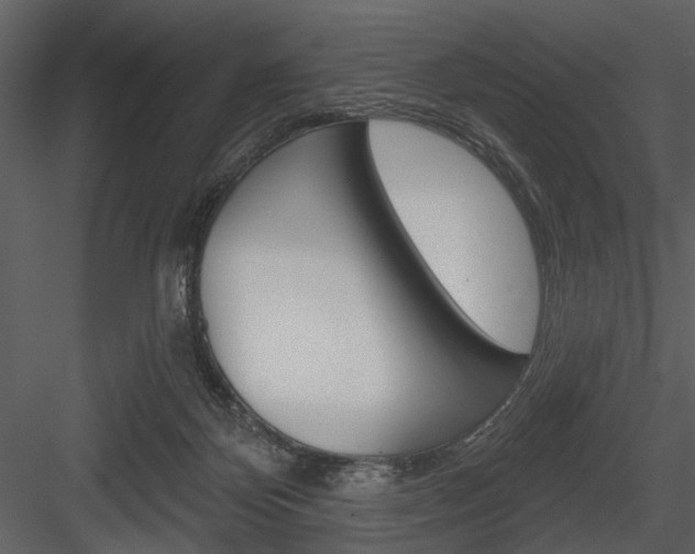 X0000084540124200702230919