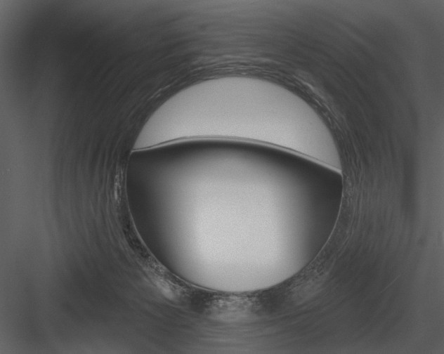 X0000084540125200702230919