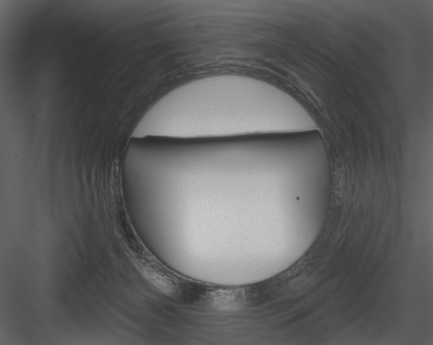 X0000084540126200702230918