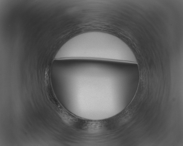 X0000084540127200702230918