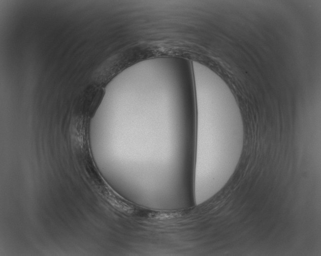 X0000084540129200702230918