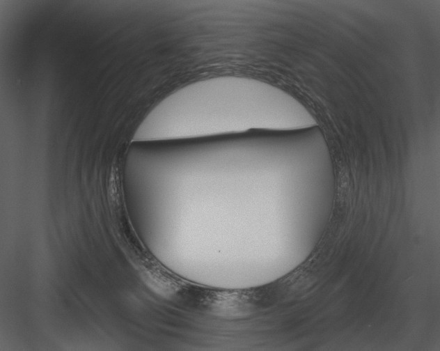 X0000084540130200702230918