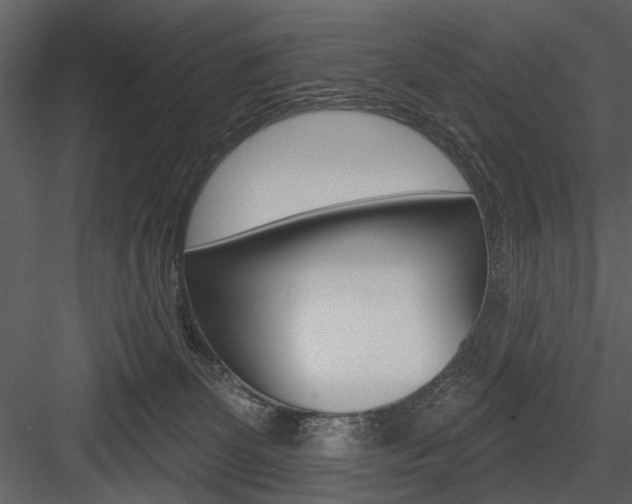 X0000084540131200702230918