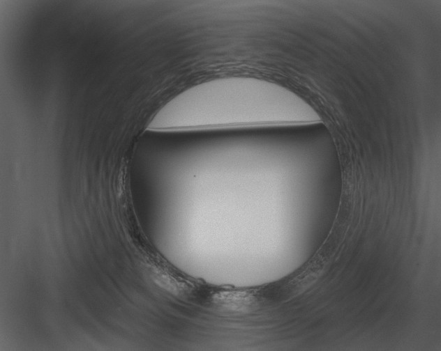 X0000084540133200702230918