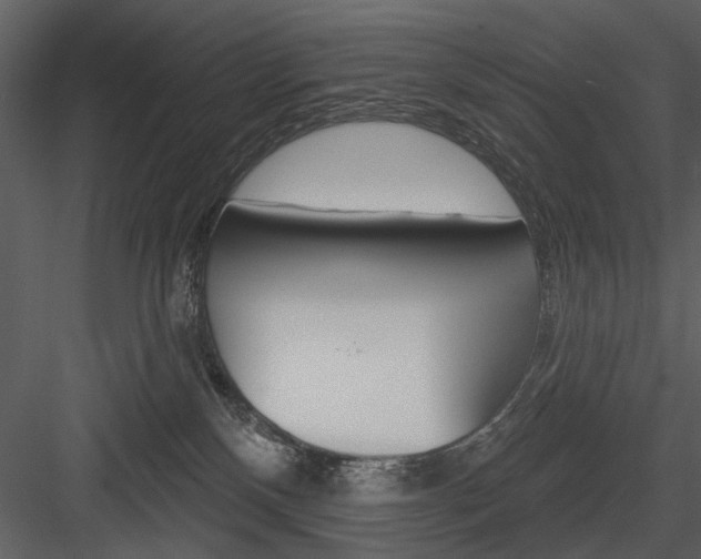 X0000084540136200702230918