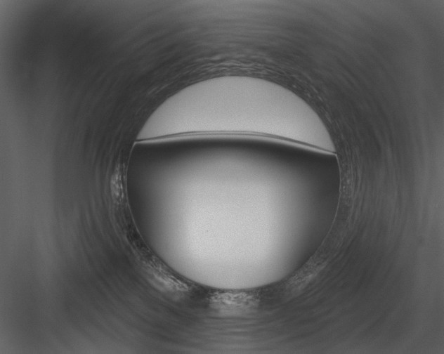 X0000084540137200702230918